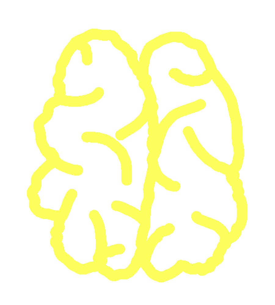 brain